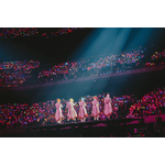 『STPR Family Festival!! 2026 in Kアリーナ横浜』ライブレポート