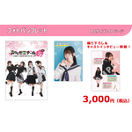 フォトパンフレット