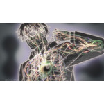 春アニメ『マリッジトキシン』第1話「毒使いの婚活」先行場面カット