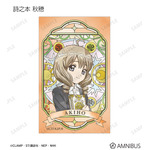 トレーディング Aure Glass コンパクトクリアカード