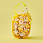 専用ポーチ（イエロー）