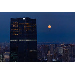 六本木天文クラブ~観月の夕べ「月を愛でる会」