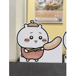 店内のパネル＆フォトスポット