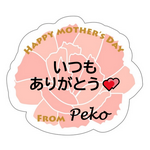 「メッセージペーパープレート」