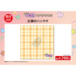 広瀬のハンカチ