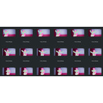 連番画像から間引いてアニメーションとして成立するように再構成していく