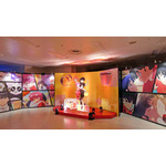 「TVアニメ『らんま1/2』展」の様子
