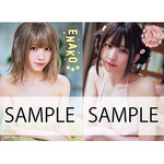 えなこ両面クリアファイル　B柄　