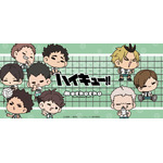 アニメ『ハイキュー!!』「mochochoシリーズ」