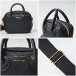 ヤングアンドオルセン「YOUNG ＆ OLSEN The DRYGOODS STORE SHOULDER BAG BOOK with Disney MICKEY MOUSE」部分アップ