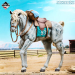 一番くじ ジョジョの奇妙な冒険 STEEL BALL RUN