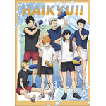 アニメ「ハイキュー!!」クールダウンフェア