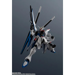 「ZGMF-X10A FREEDOM GUNDAM RENEWAL」