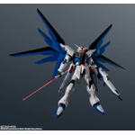 「ZGMF-X10A FREEDOM GUNDAM RENEWAL」