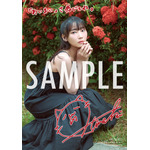 AKIHABARAゲーマーズ限定ブロマイド
