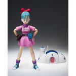 別売りの『ドラゴンボール』シリーズ関連フィギュアと一緒にディスプレイ！