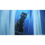 夏アニメ『BLACK TORCH』#01（第1話）「未来は俺等の手の中」先行カット