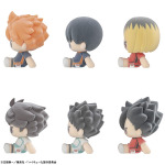 ぬいっぽ ハイキュー!! 6個入りBOX