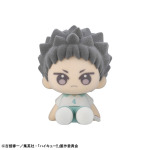 ぬいっぽ ハイキュー!! 6個入りBOX(岩泉一)