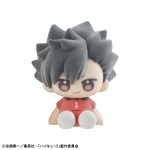 ぬいっぽ ハイキュー!! 6個入りBOX(黒尾鉄朗)