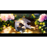 『紫禁・御猫房~紫禁城猫警備室~』ティザーPV