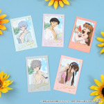 EVA STORE オリジナル ヱヴァンゲリヲン新劇場版・チェキ風カードセット SUMMER FES2026