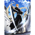BLEACH Mirrors High