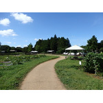 農園リゾート THE FARM