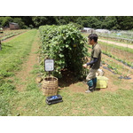 農園リゾート THE FARM