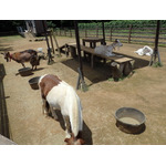 農園リゾート THE FARM