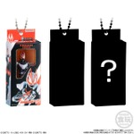 仮面ライダー ソフビパッケージチャーム2＆チョコビスケット