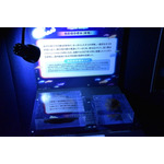 夜間限定営業 サンシャイン水族館×超かぐや姫！ ツクヨミアクアリウム