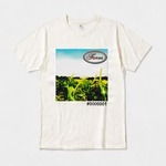 オーガニックコットンTシャツ