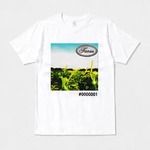 スタンダードTシャツ