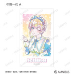 TVスペシャルアニメ『五等分の花嫁＊』描き下ろし 星空メイドver. トレーディング Ani-Art KAWAII label Ani-Frame（全10種）