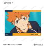 トレーディング場面写L判カード