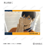 トレーディング場面写L判カード