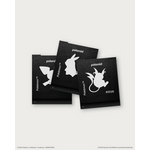 Polaroid × Pokémon 特別デザインシリーズ