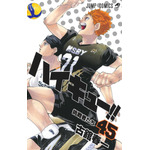 『ハイキュー!!』書影　（45巻）　(c)古舘春一／集英社