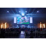 OPENING STAGE