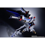 「ABSOLUTE ACT ストライクフリーダムガンダム」