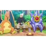 「アニポケ」×「ポケモン GO」コラボエピソードが放送決定！ウィロー博士とフィールドワークに挑戦☆“ポケストップ”も登場【9月18日】 画像