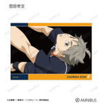 トレーディング場面写L判カード