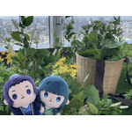 舞が織りなす幻想の世界 ―天空に響く、舞のしらべ―