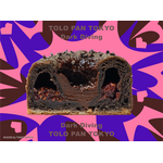 TOLO PAN TOKYO「Dark Diving」