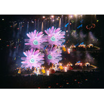 「KENSHI YONEZU 2025 WORLD TOUR / JUNK」