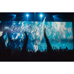 「KENSHI YONEZU 2025 WORLD TOUR / JUNK」