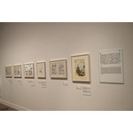 「少女漫画・インフィニティ　萩尾望都×山岸凉子×大和和紀 三人展」国立新美術館、2026-2027年、展示風景