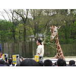 今年も開催決定！　東武動物公園×けものフレンズ「2018年もとうぶフレンズに会いに行くのだ！」