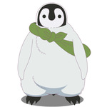京都の日々にとけこむ癒しのペンギンショート！TVアニメ『おこしやす、ちとせちゃん』10／5スタート